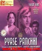 Pyase Panchhi 1961